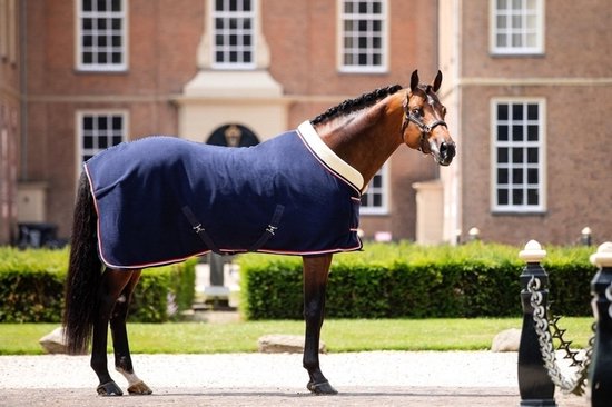 Couverture Polar HB Polar 400 Dutch Crown Navy - 175cm