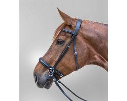 Waldhausen Bitloos Hoofdstel - Zwart - Pony