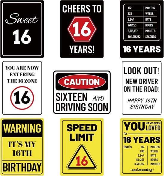 Een set van negen 16e verjaardagsbordjes met tekst zoals 'Sweet 16', 'Cheers to 16 Years!', en 'Warning It's My 16th Birthday'.