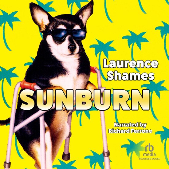 Sunburn - cover
