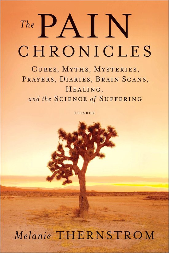 The Pain Chronicles - cover
