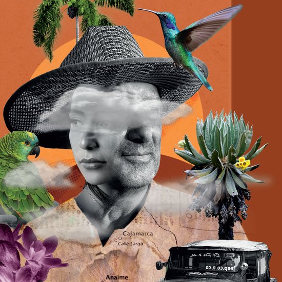 Historia(s) de Anaime, Tolima - cover