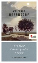 Boekcover met schilderij van een landschap met bomen en een weg. Titel: Bilder deiner großen Liebe, auteur: Wolfgang Herrndorf.