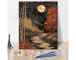 Schilderen op nummer volwassenen,