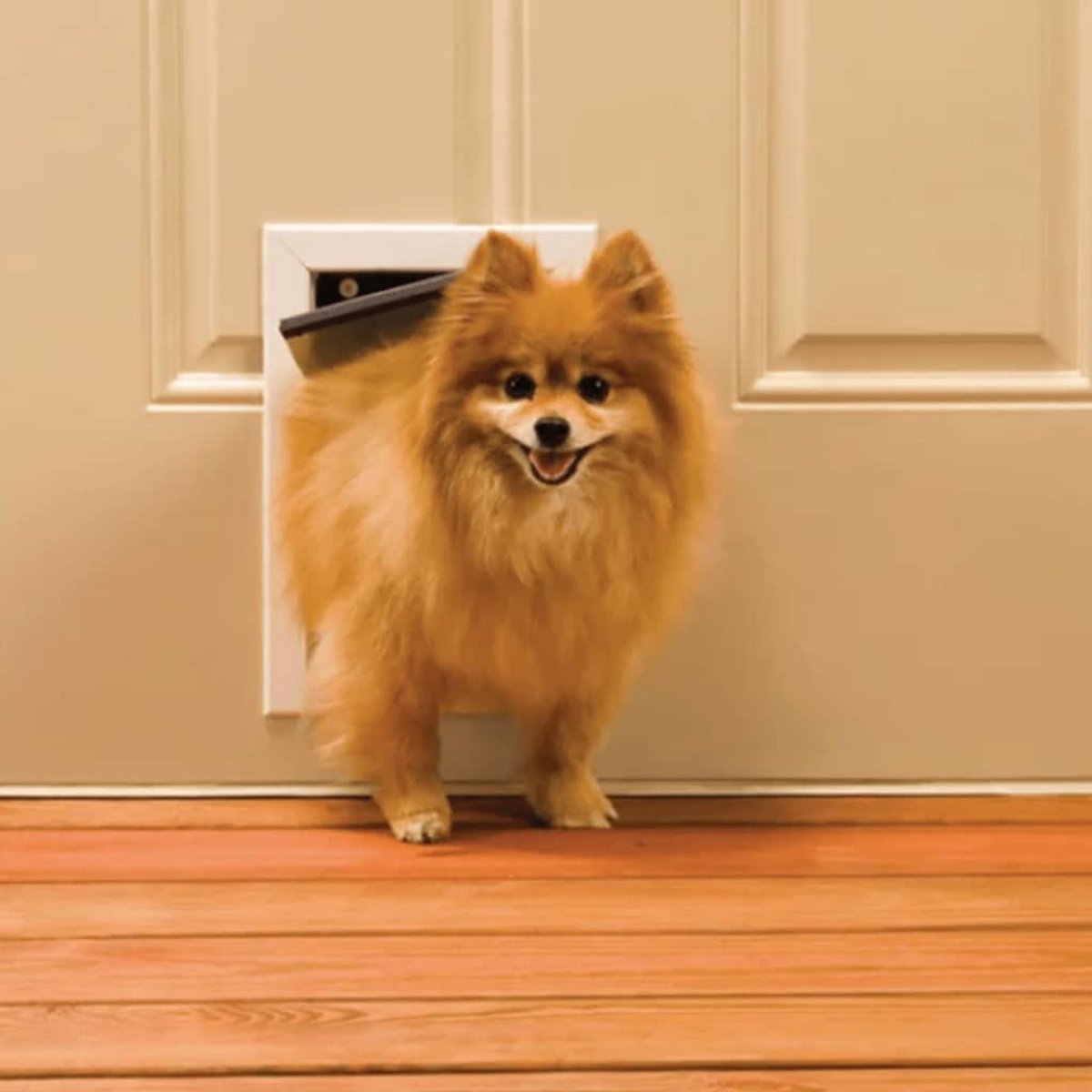 Petsafe 600 Kattenluik Aluminium thumbnail 4