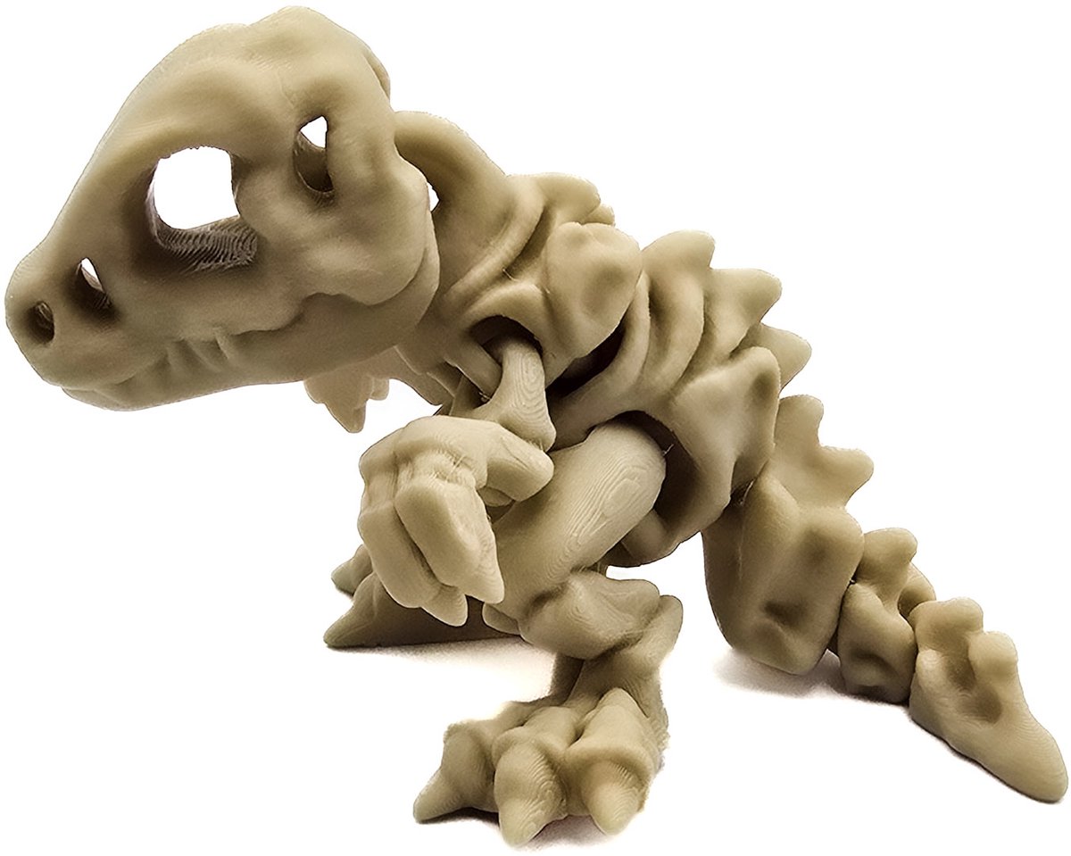 T Rex Skelet 3D - Stoere dino - Cosmetalic - Dino botten T-rex - Cadeau tip - Stoer, Flexibel - Flexi