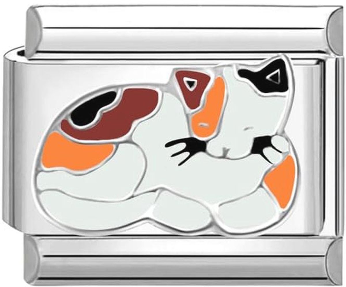 9mm Italiaanse Schakel Bedel Module Roestvrij Staal Kat