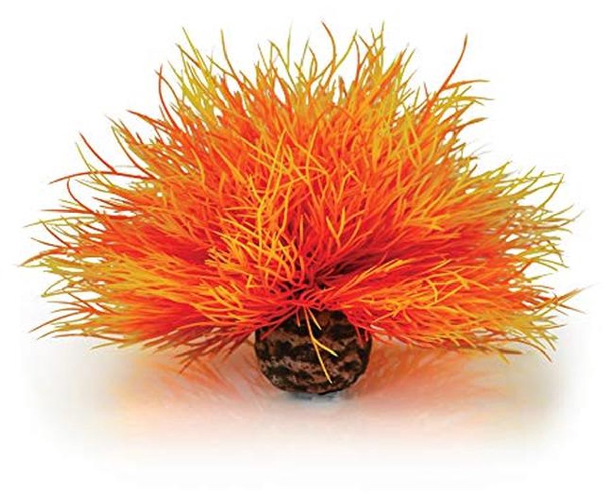 Aquarium Zee Lelie Decoratie met Verzwaringsbal