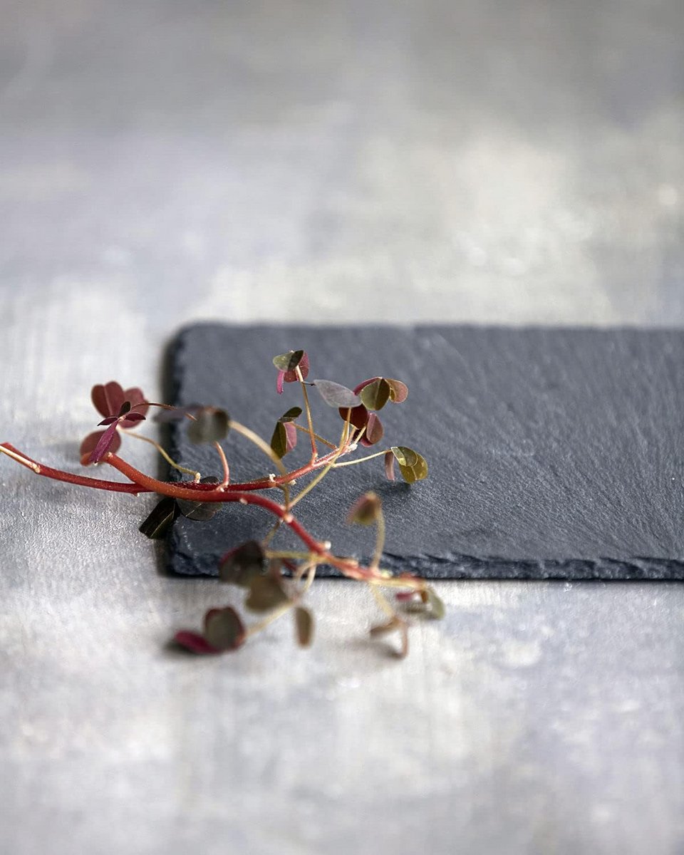 Houten Serveerplank voor Elegante Presentatie