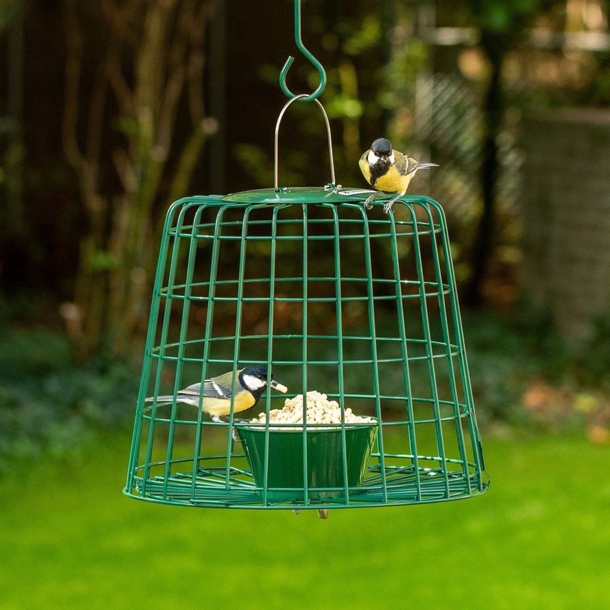 CJ Wildlife Vogelvoederplek met Beschermkooi voor Kleine Vogels & Tuinvogels - Voederbakje voor Vettraktatie & Meelwormtraktatie - Hangend Vogelvoederhuisje - Groen