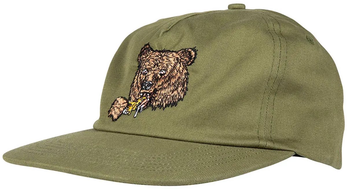 Santa Cruz Braun Great Outdoors Snapback Pet Man Vrouw Iguana