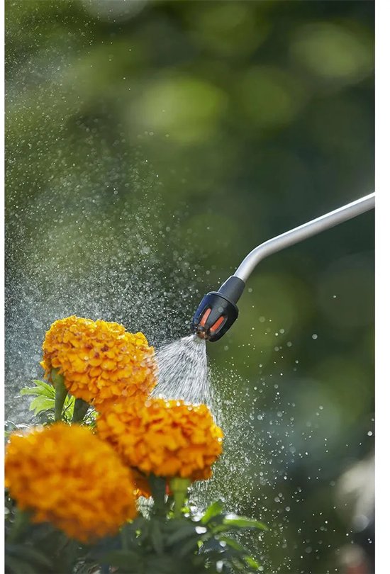 Sproeier van een drukspuit sproeit water op oranje bloemen.