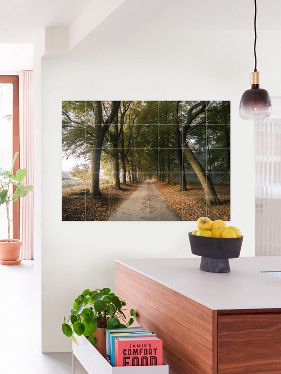 IXXI Autumn Forest Lane, Claire Droppert - 80 x 60 cm - Support d'accrochage gratuit - Grande décoration murale et posters - Réalisme, Photographie, Naturalisme