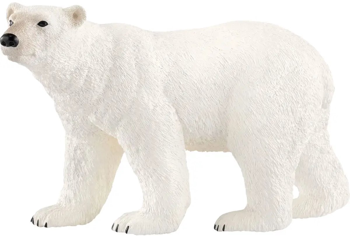 schleich WILD LIFE - Ijsbeer - Speelfiguur - Kinderspeelgoed voor Jongens en Meisjes - 3 tot 8 jaar - 14800 — afbeelding 14
