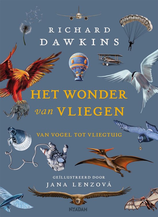 Het wonder van vliegen - cover