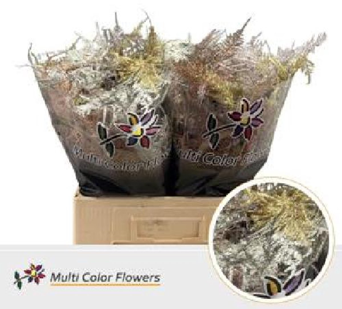 Kerst aspergeset met 50x SG exotische veren kerstmix 60cm van DutchFlowers.