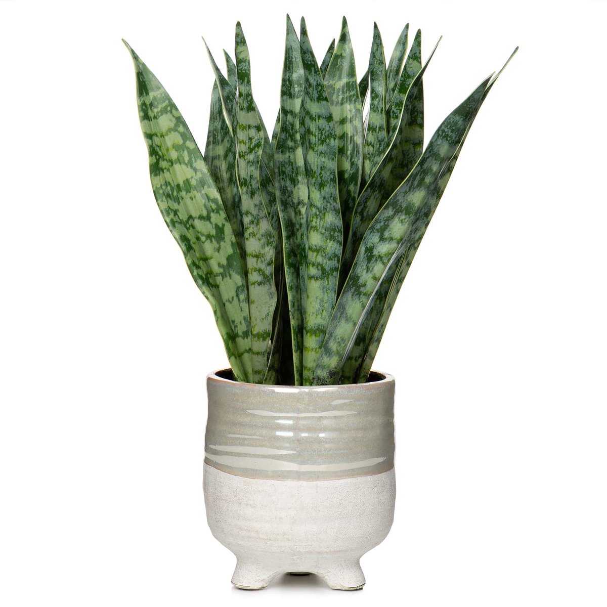 Unyqoos Decoratieve kunstplant met keramische pot voor huis en kantoorinterieur Groen