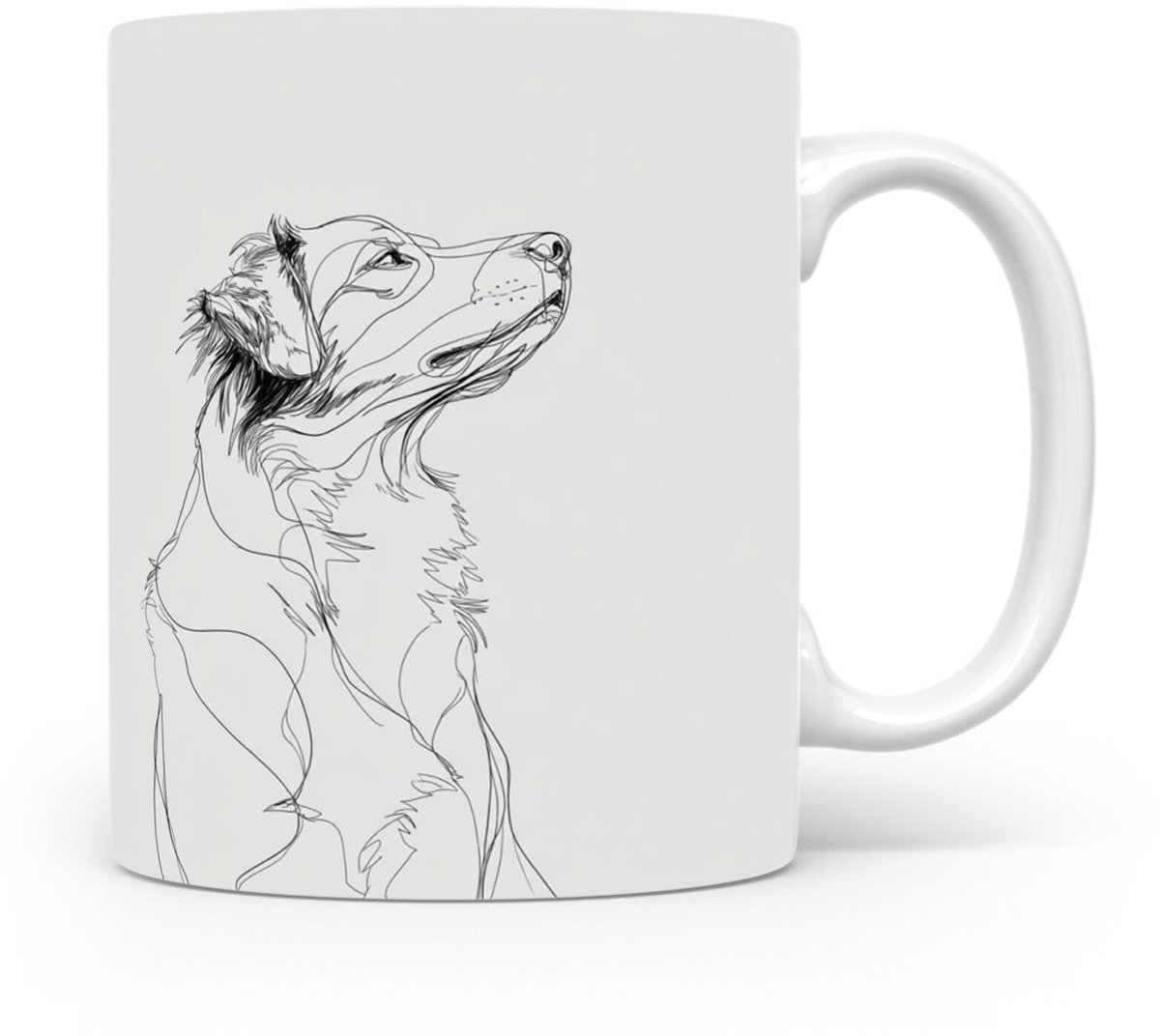 Beker Nova Scotia Duck Tolling Retriever