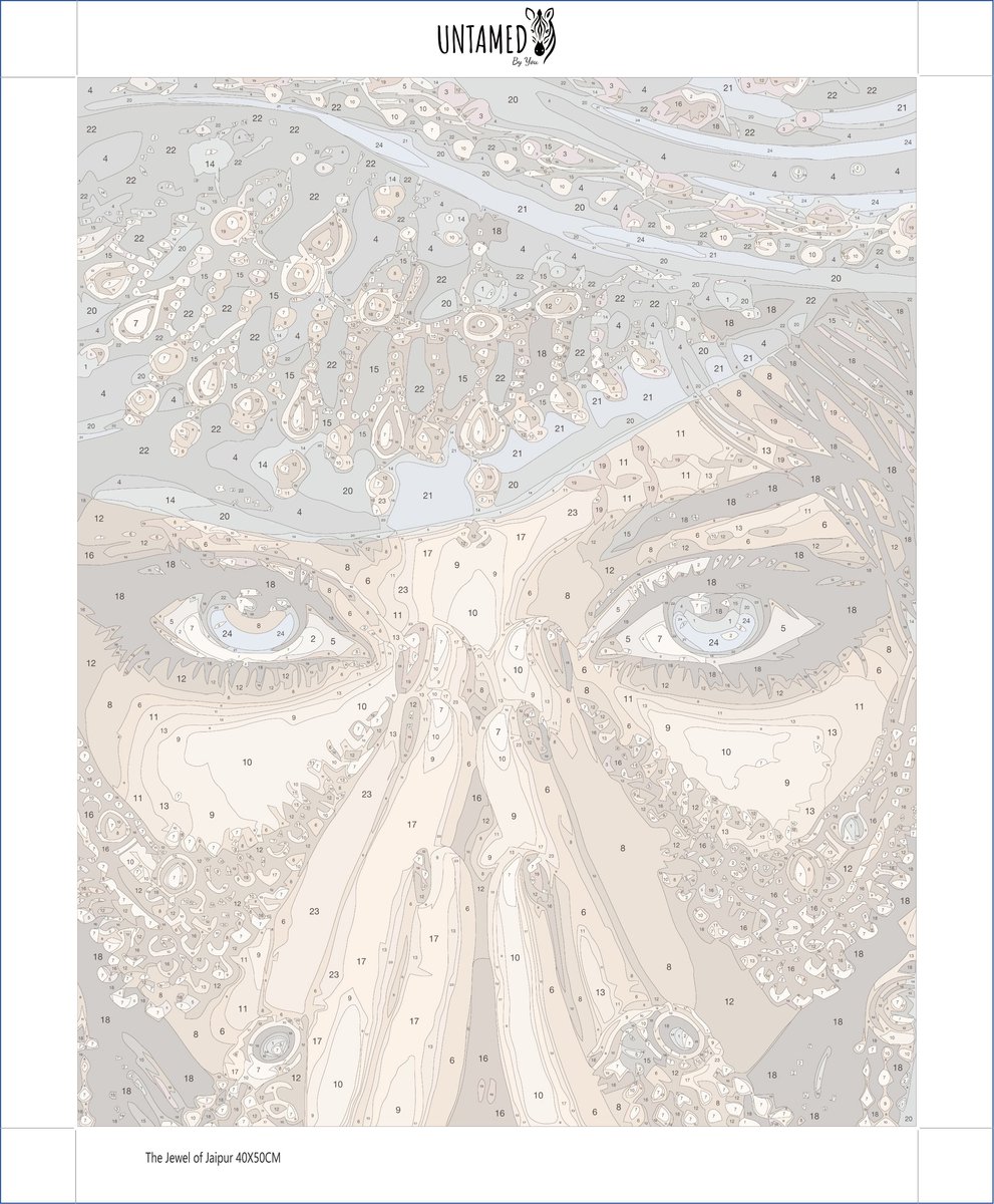 Paint by numbers Volwassenen– schilderen op nummer – Creatieve hobby - Ontspanning Thuis - Cadeau idee - Compleet pakket - DIY decoratie - Portret - The Jewel of Jaipur — afbeelding 3