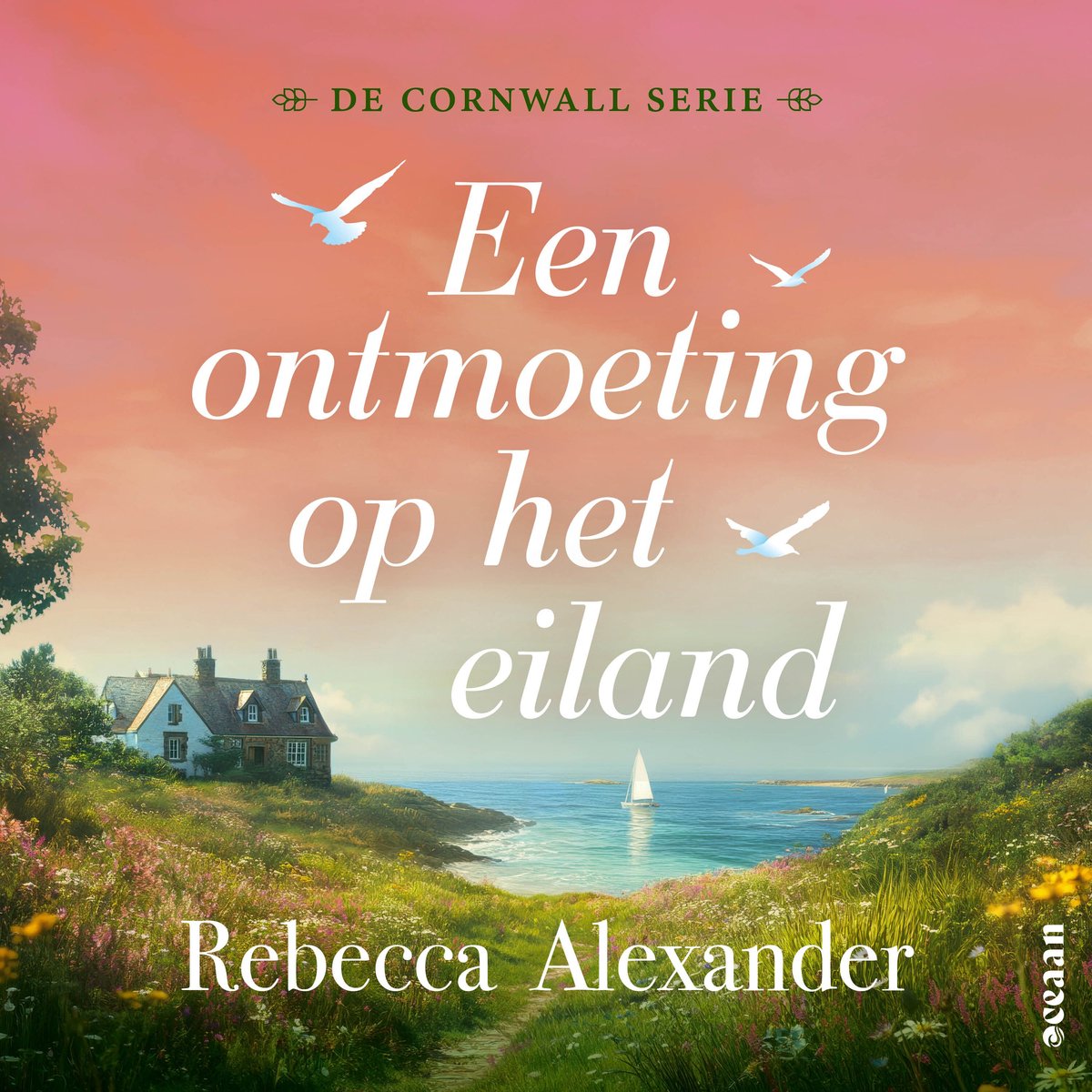Omslag van Een ontmoeting op het eiland
