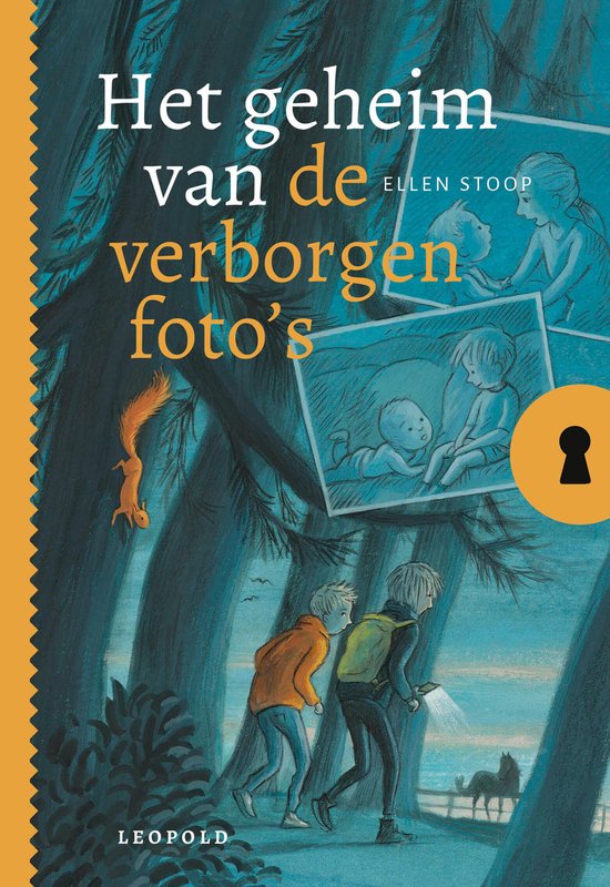 Het geheim van - Het geheim van de verborgen foto's - cover