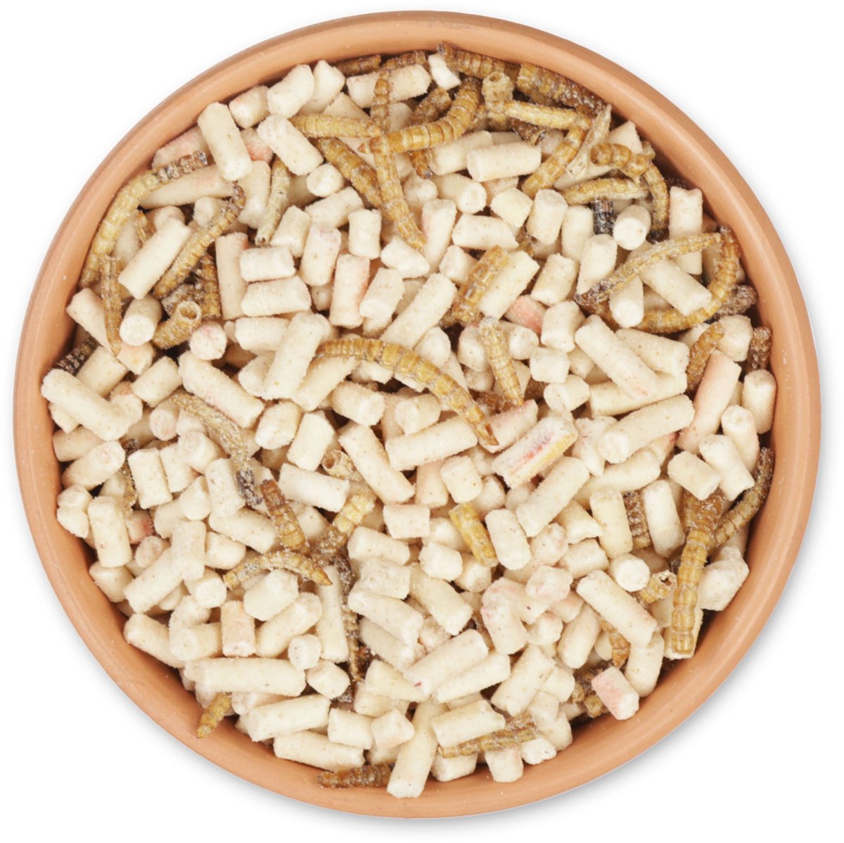 CJ Wildlife - 2.5kg Eiwitrijke insectenmix met extra vet - Tuinvogelvoer - Rijk aan eiwit- Geschikt voor diverse vogelsoorten