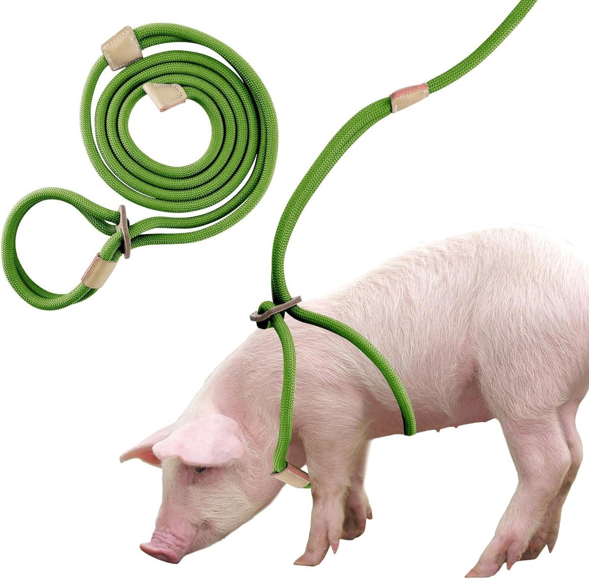 Cosensi - Mini Varkens Harnas en Riem Set | Verstelbaar Touw 2,4m | Geschikt voor Kleine en Middelgrote Huisdiervarkens