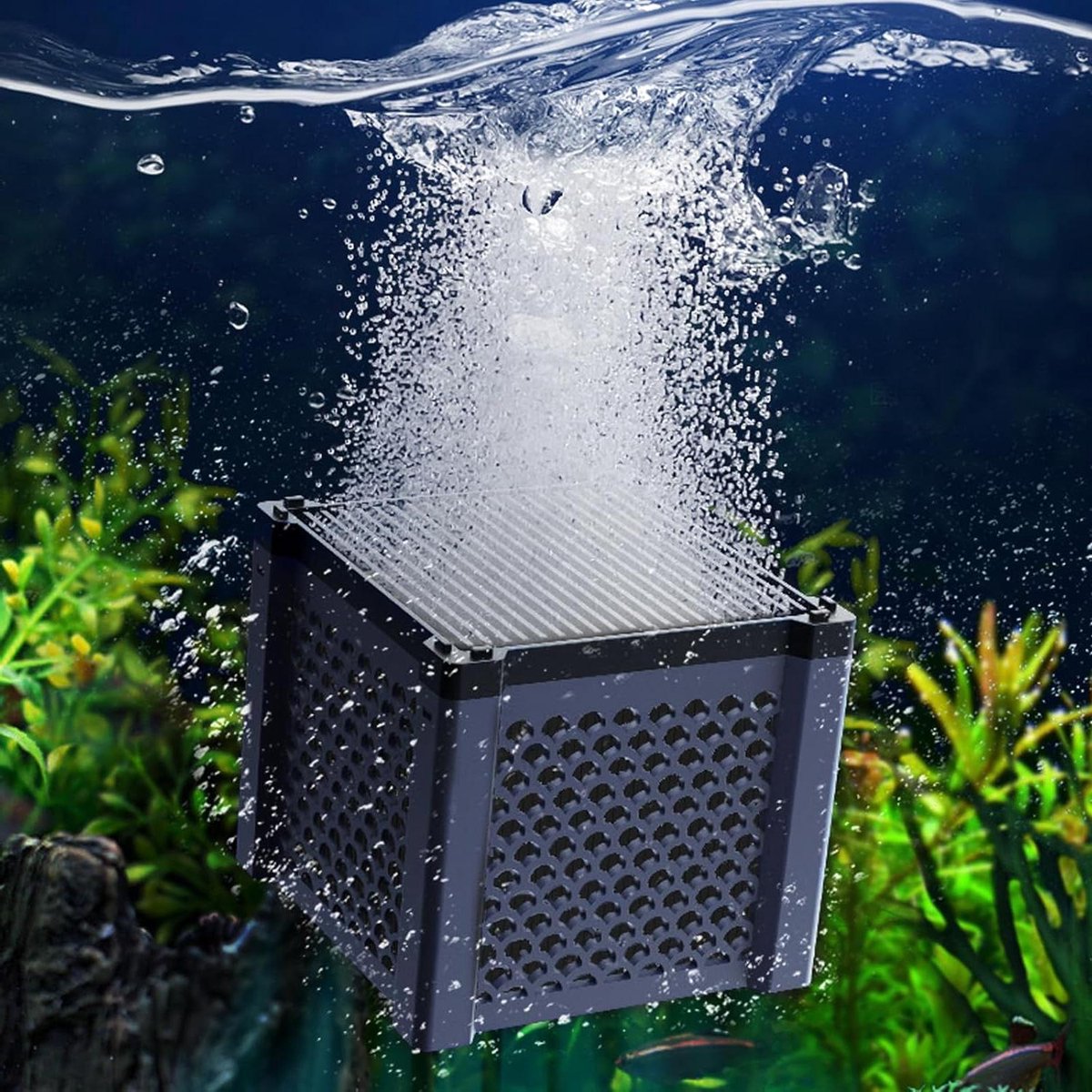 Cosensi - Actieve koolfilter voor paarden - Eco-aquarium kubus - Waterreiniger