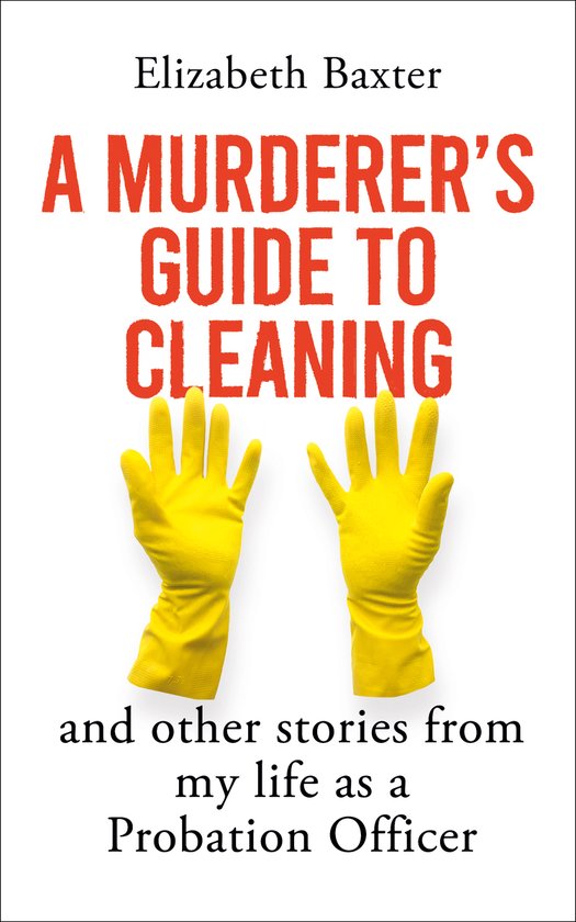 A Murderer's Guide to Cleaning - cover