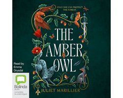 The Amber Owl
