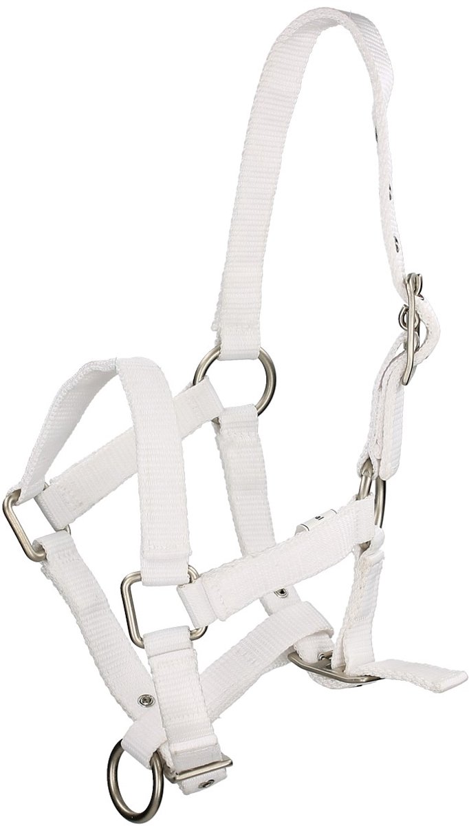 Q-essentials Veulenhalster Q-essentials Mini Wit
