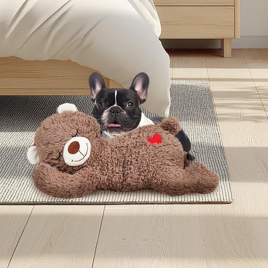 Bruine pluche beer met rood hart op rug, naast een franse bulldog onder een bed.