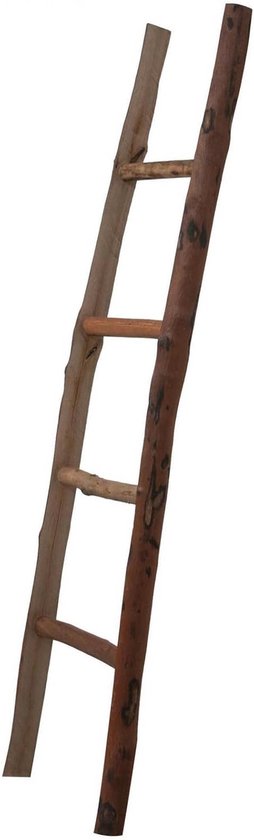 Rustieke decoratieve ladder met natuurlijke boomstamzijkanten, ronde traptreden en een houten dwarsbalk.