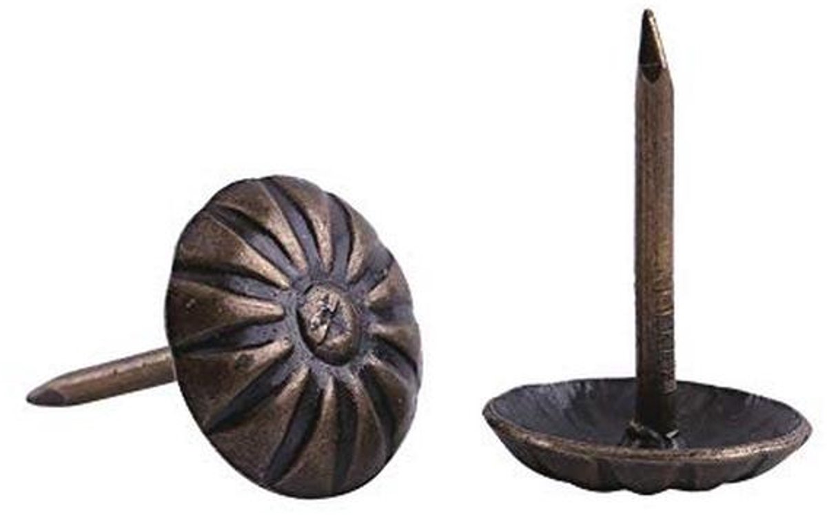 Antieke Bronzen Bekleding Nagels - 100 Stuks Decoratieve Tack Studs voor Meubelstyling
