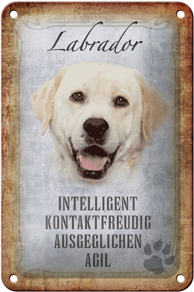 Blechschild Spruch 12x18cm Labrador Hund Schild