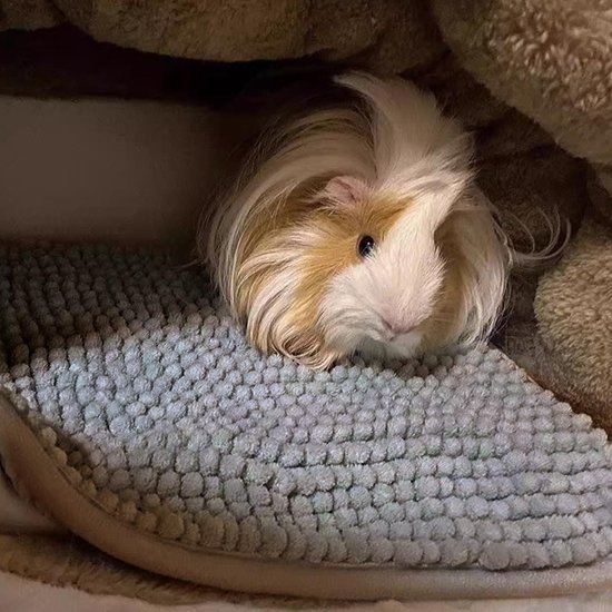 Cosensi - Onderlegger voor cavia's en konijnen - wasbaar - 60 x 40 cm - herbruikbaar - slaapmat - grijs — afbeelding 3
