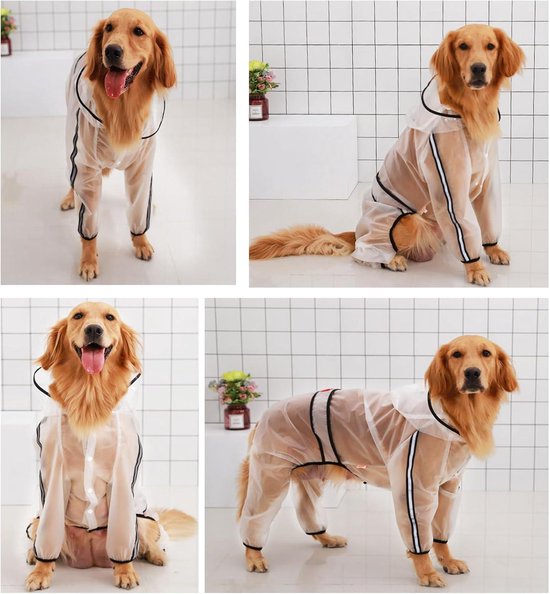 CityStyle Speurlijn in PVC voor Honden - Sage - 2 beschikbare maten