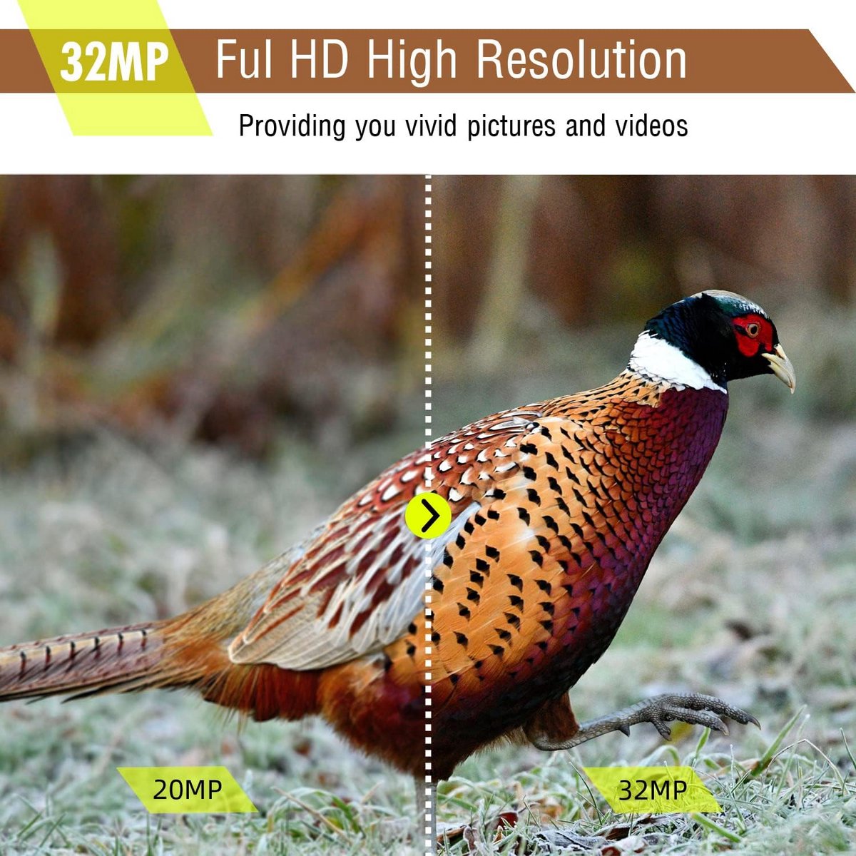 Wildcamera met Nachtzicht en Hoge Resolutie voor Buitenmonitoring