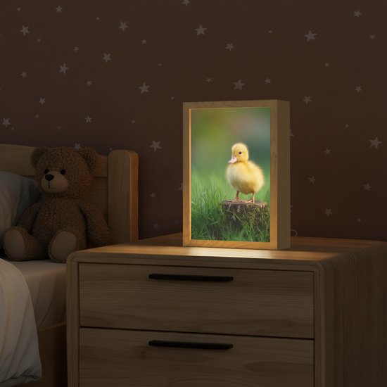 Nachtlampje 20x30 cm - Kinder lamp - Kuiken - Eend - Geel - Gras - Tafellamp kinderkamer - Slaapkamer lamp - Bedlamp kinderen - Kinderlampje stopcontact - Wandlamp babykamer - Nachtlampjes van Merkloos — afbeelding 2