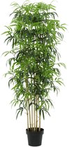 Florafy Plante artificielle Bambou | 180cm - Plantes artificielles d'intérieur - Sans entretien