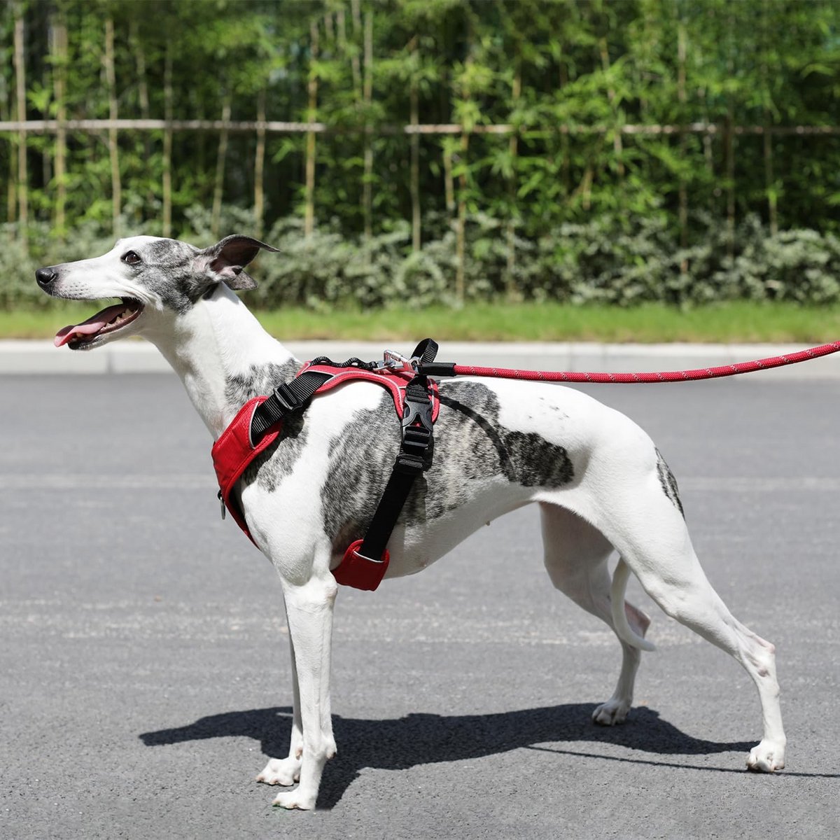 Ergonomisch en Verstelbaar Dierenharnas met Reflecterende Strepen, Maat S, Rood