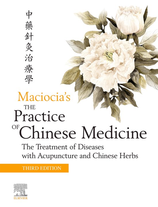 The Practice of Chinese Medicine E-Book - cover