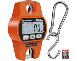 Digitale Zweefweegschaal 660 lb/300 kg - Mini Kraanweegschaal voor Boerderij, Vis, Bagage en Outdoor Activiteiten