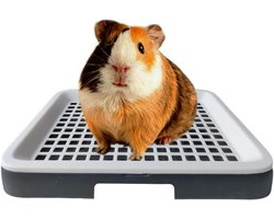 Kattenbak voor cavia's met gaas - Kattenbak voor muizenkooien - Speciaal voor knaagdieren - Hoekje voor een kattenbak - Accessoires voor chinchillakooien