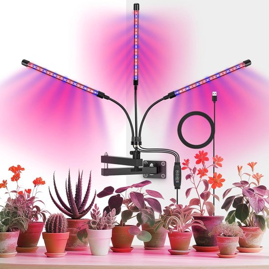 Growlamp