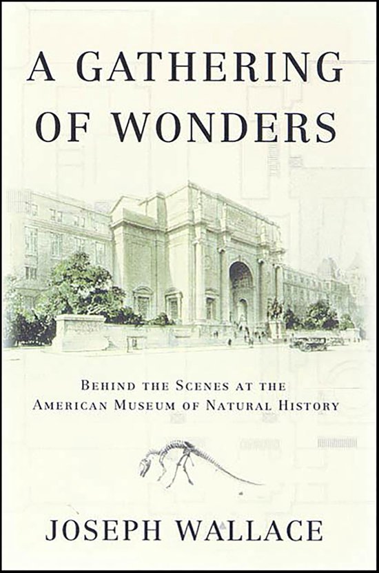 A Gathering of Wonders - cover