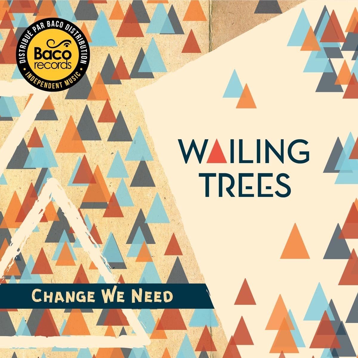 Muziekalbum: Change We Need - CD of Vinyl