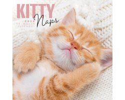Slapende Kittens Kalender 2026