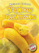 Animal Colors - Yellow Animals