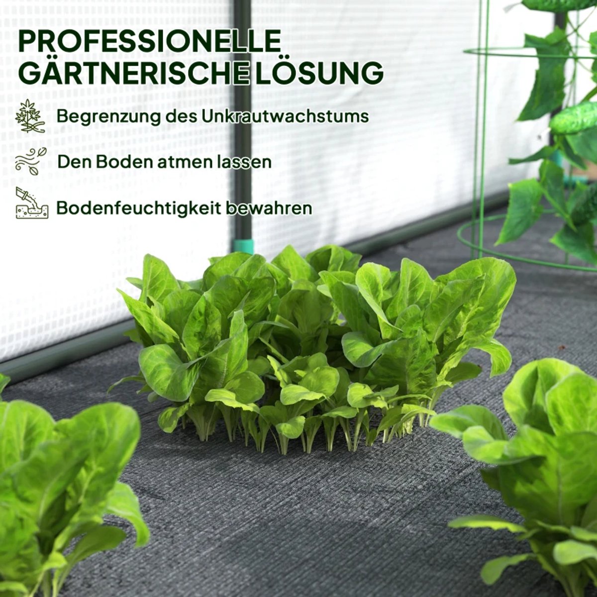 Kas met Roldeur - Wandkas - Toegankelijke Plantenkas - Tuinkas - Foliekas - Broeikas - Koude Bak - Kweekkas - Tomatenkas - Groentekas - Plantenkas - voor Groenten, Bloemen, Planten - 200 x 80 x 157 cm - Wit – foto 5